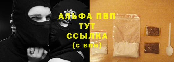 индика Козельск