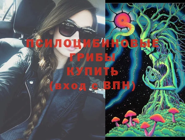 мдпв Алзамай